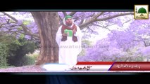 Package 05 - Pretoria South Africa Rukn-e-Shura Kay Madani Phool