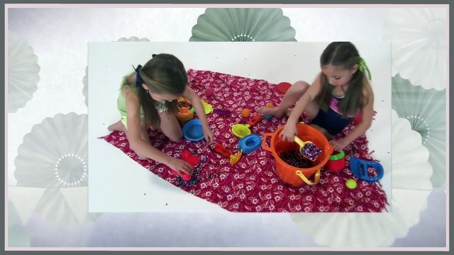 Preschool Orange Park, FL. Preschool in Orange Park 904.264.9959 Orange Park, Florida.