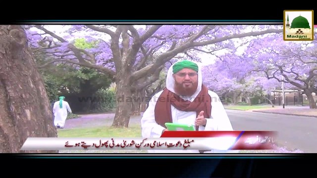 Package - Madani Phool Muhararram Pretoria South Africa se Rukn-e-Shura