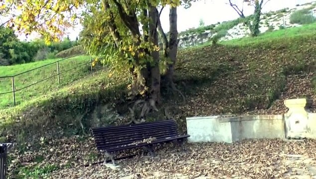 LES PROMENADES DE MICHOU64 W-D.D. - 18 NOVEMBRE 2014 - QUARTIER TRESPOEY - N° II - DE L'AVE DES LAURIERS AUX BORDS DE L'OUSSE.