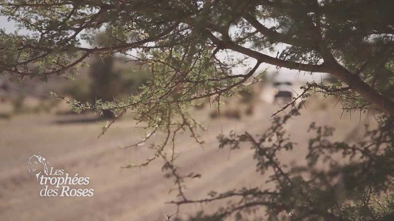 Les Trophées des Roses - Episode 4 : Action
