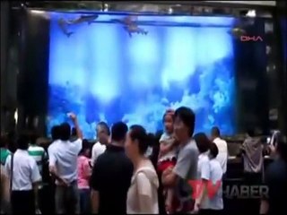 Akvaryum Böyle Patladı!