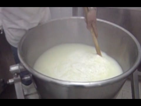 Campania - Garanzia Giovani, accordo Regione-Ordini Veterinari (20.11.14)