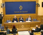 Roma - Delega lavoro – Jobs act - Conferenza stampa di Cesare Damiano (20.11.14)