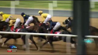 06.11.2014 Meydan (Dubai-UAE) 4.Race Emirates Skywards - Handicap 1.200 m