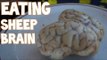 Eating An Entire Sheep's Brain in Morocco | Furious Pete