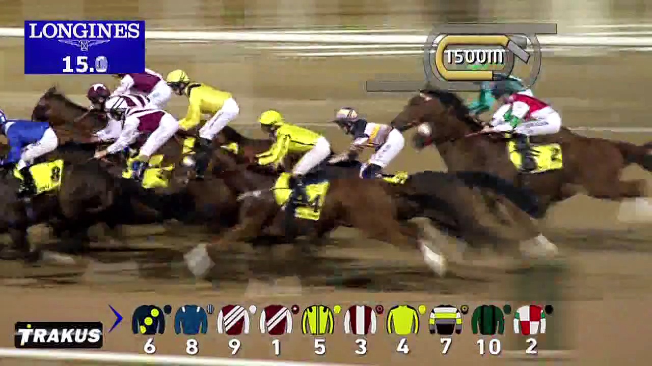 20.11.2014 Raceday Meydan - Dubai (UAE)