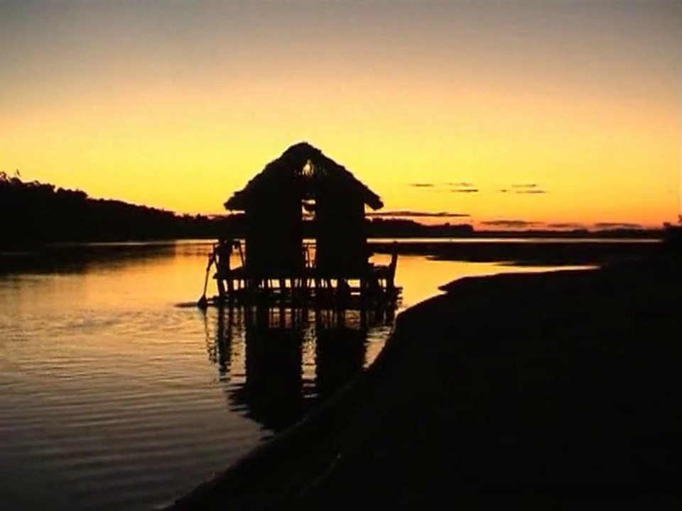 VOYAGE : Entre deux lointains : l'Amazone