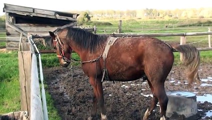 DOMAINE DE LA COUR AUX ELASTIQUES