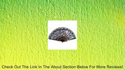 Spanish Hand Fan Decorative Design Review