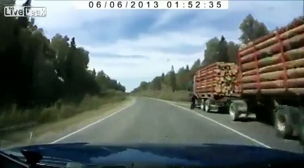 Watch Out For That Tree - Funny Videos at videotri