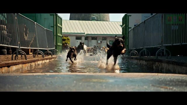 Fehér Isten: Trailer HD VO st bil/ OV tw ond