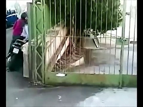 CADUTE DIVERTENTI IN MOTO SCOOTER, FAIL, INCIDENTI , RISATE, FALLS IN SCOOTER, FALLS FUNNY LAUG