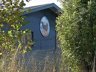 Птичий грипп поразил вторую ферму в Нидерландах