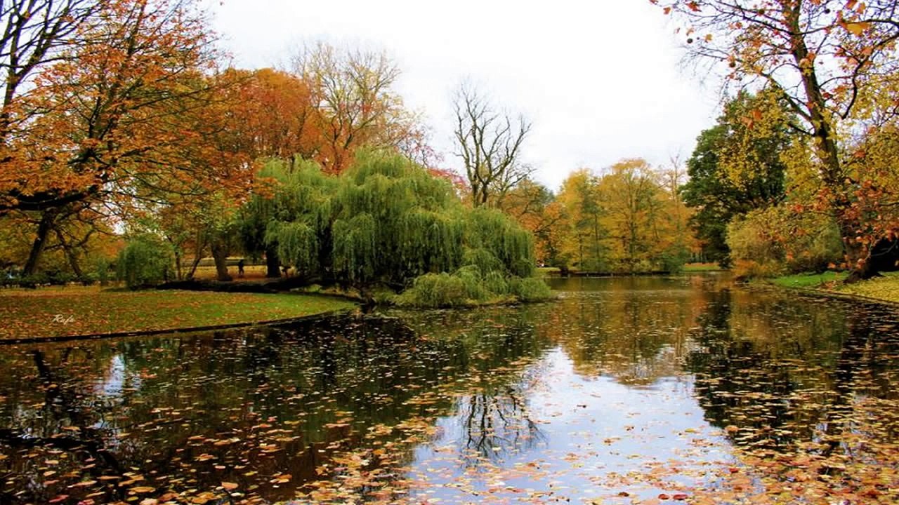 Magnifiques Miroirs (PP)