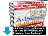 Google Adsense Secrets 5 0   Adsense Secrets 5 Free Download