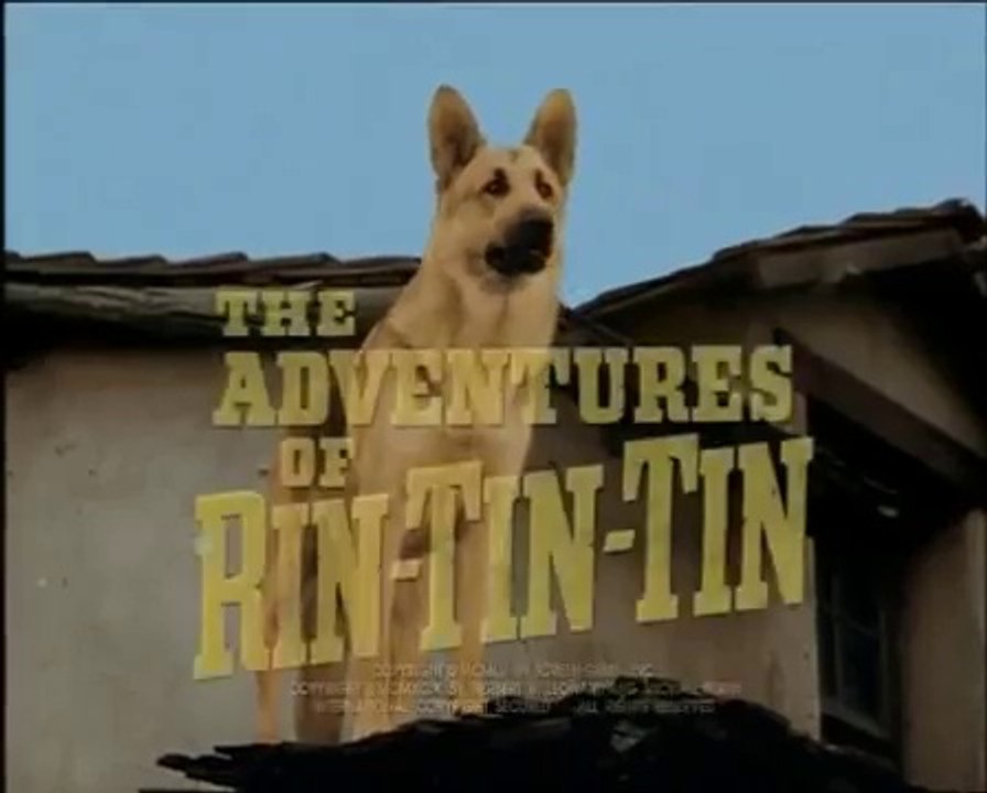 RinTinTin . 10  /  L'appel Du Clairon