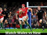 Big Rugby Match Wales & New Zealand 22 nov 2014 live