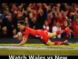 Enjoy with Video streaming Wales & New Zealand 22 nov live