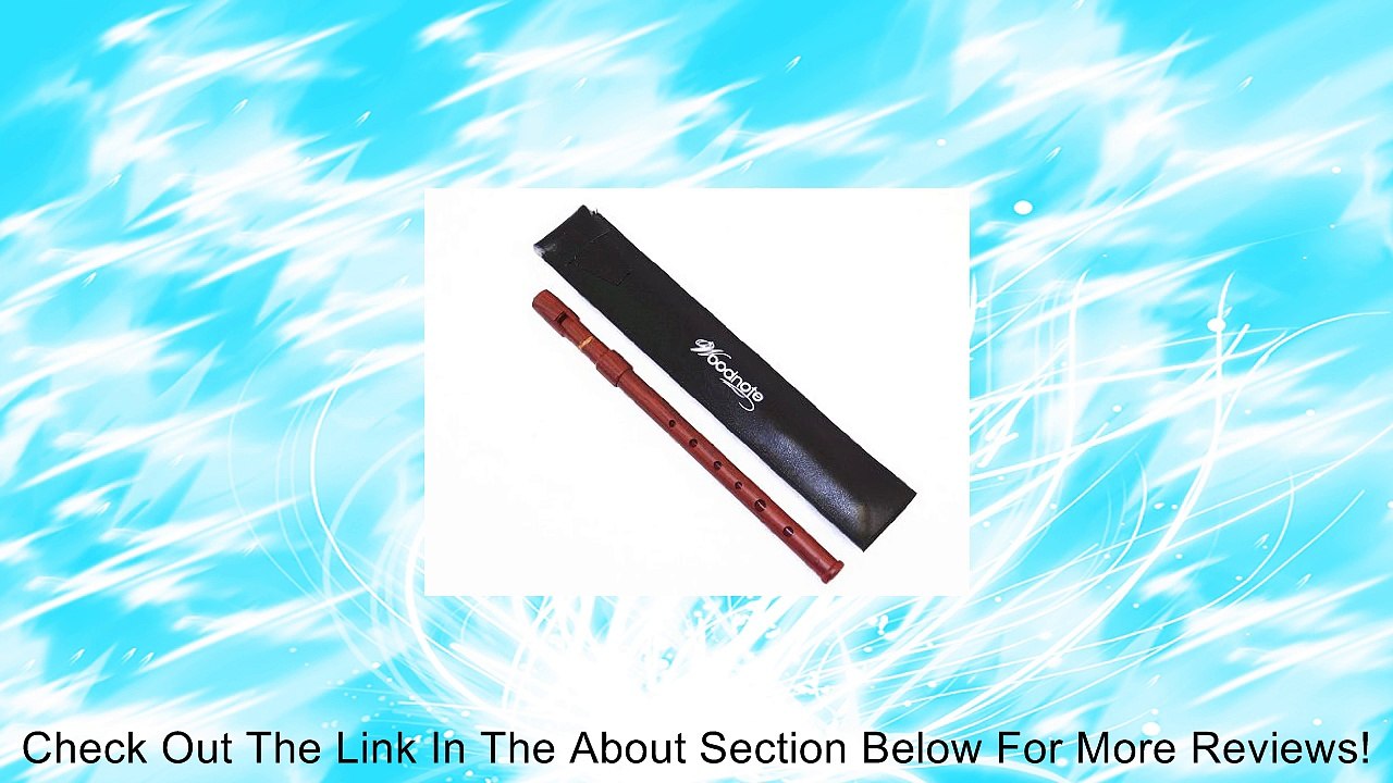 Woodnote SI-922BW (Key of D) Wood Grain 6 Holes Irish Tin Whistle-ABS Review
