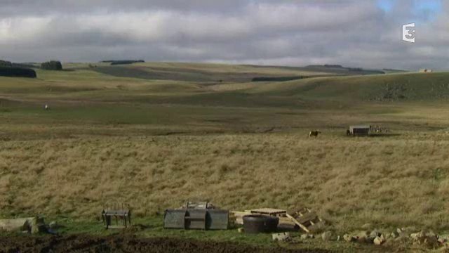 Eleveuse de vaches Aubrac en Lozère