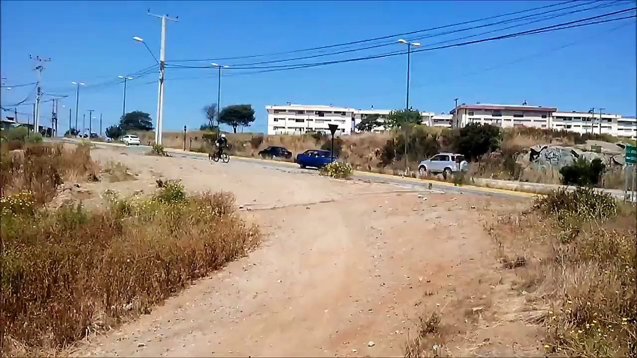 Chien fou qui se prend pour un BMX : joli saut mais réception difficile!