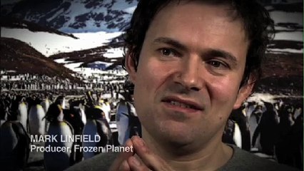Frozen Planet clip _ICE HOSTAGE_ BBC Earth