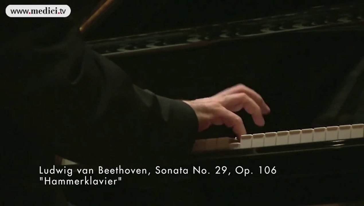 Gregory Sokolov, Berlin, juin 2013