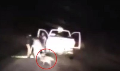 K9 köpeği polisin hayatını böyle kurtardı