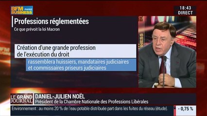 Daniel-Julien Noël, président de la Chambre nationale des professions libérales (2/3) - 20/11