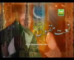 Shahbaz Qamar Fareedi New Naat Album - Shehar Madinay