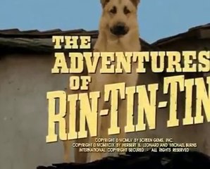 Rin - Tin - Tin  . 13  / La Foret en Flammes