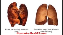 Lung Detoxification-How to Clean Tar,Toxins & Quit Smoking healthy lungs