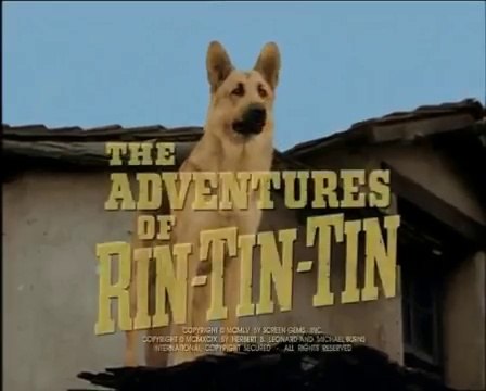Rin-Tin-Tin . 15 / Adieu Fort Apache