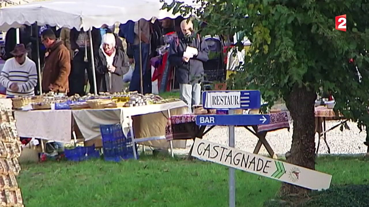 Les Châtaigniers d'Ardèche : un patrimoine en danger (5/5)