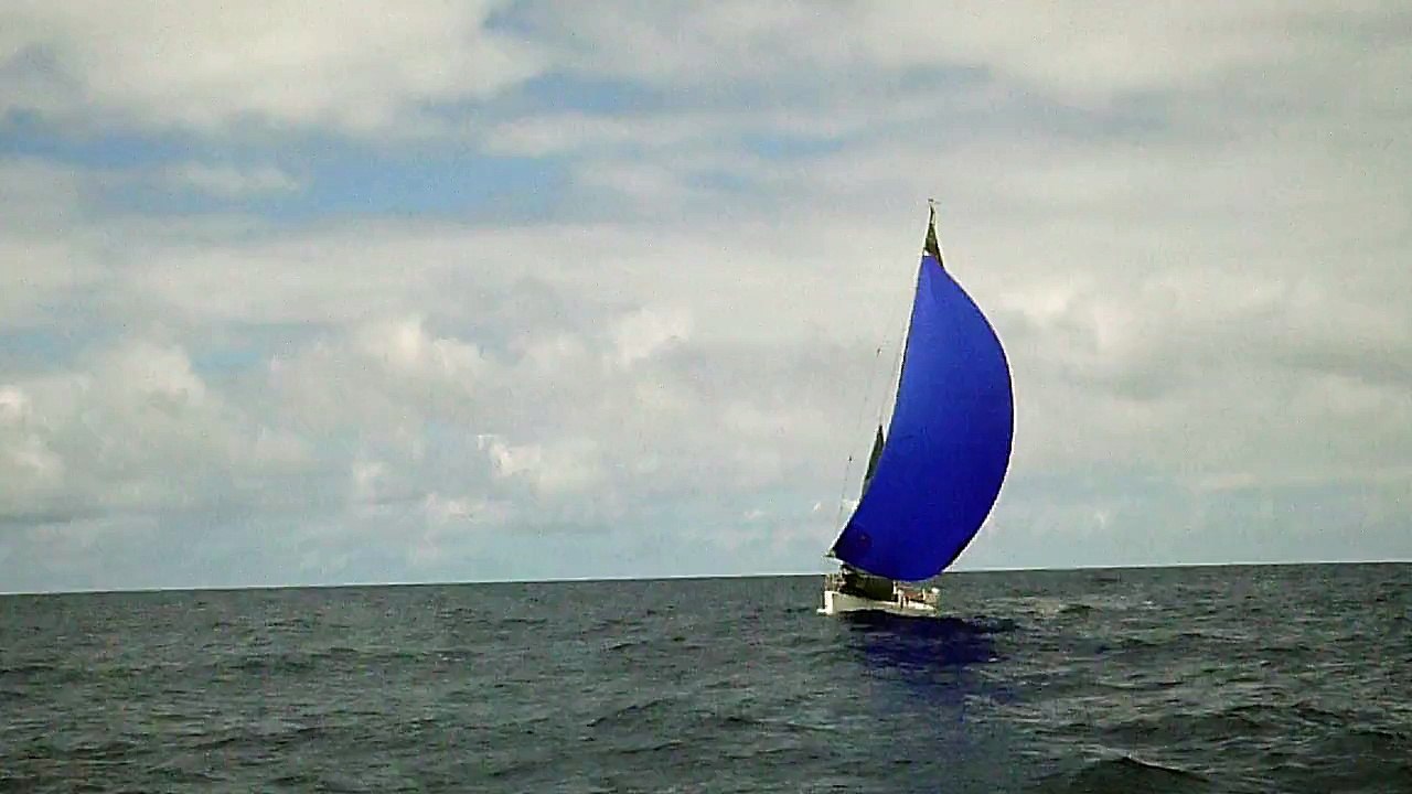 Farouche vu de Rockall_2
