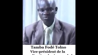 Tamba Fodé Tolno, vice-président de la coordination des jeunes de la Guinée Forestière à Conakry