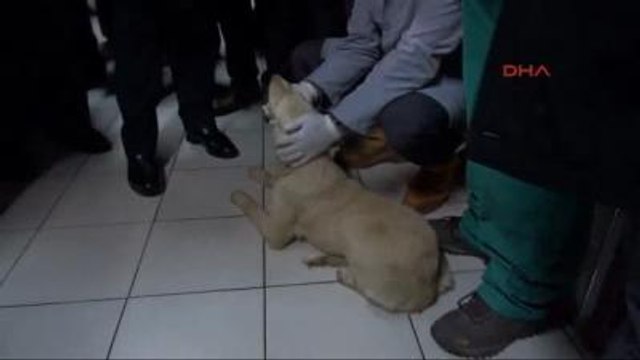 Kocaeli-2 Çift Bakanlı Temel Atma Töreni