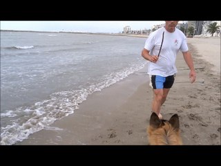 JEUX de JEDAYE au GRAU-du-ROI dans la mer