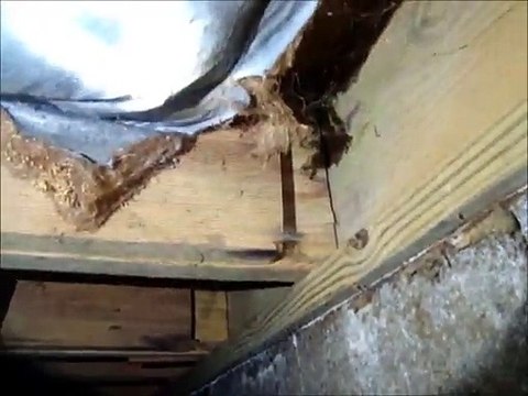 Home Inspectors Dayton Ohio Exposes Crawlspace Issues