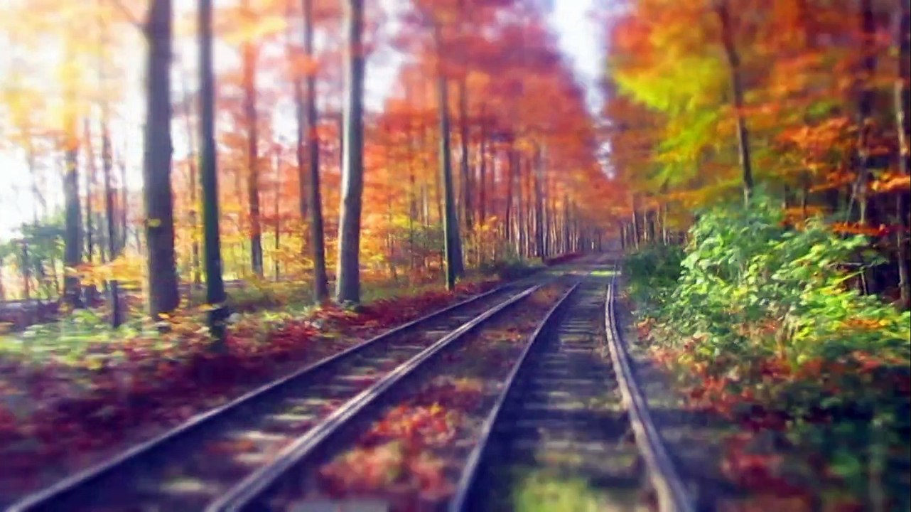 Tram 44 (in the woods)