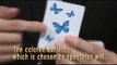 Magic Butterfly by Tenyo Magic Co - 2015 Magic Trick
