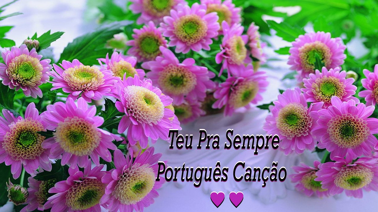 Canção ≈ Pra Sempre Teu ❤ Português
