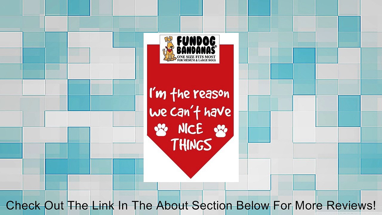 I'm the reason we can't have nice things Bandana for Medium to Large Dogs - red Review