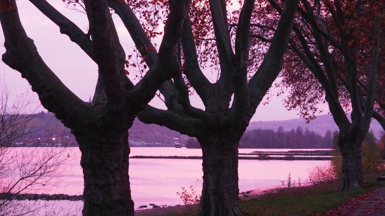 Frédéric Chopin - Prélude in B Minor Op. 28 No 6