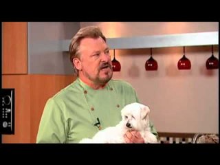 Responsible Pet Parenting; Ingredients for Better Health