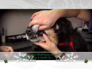 North American Pet Health Insurance Assn