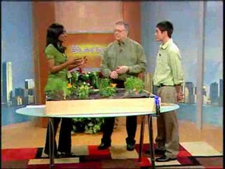 Gardening Evolved  Water Saving Solutions