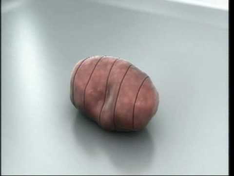 The Balancing Act Show 895 - Veridex LLC