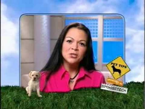 The Balancing Act Show 858 - Spongetech - Pet 3